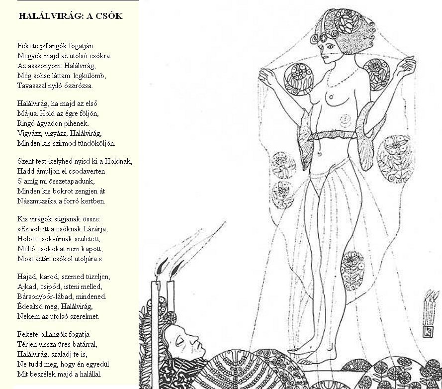 Ady Endre: Hal�lvir�g: a cs�k